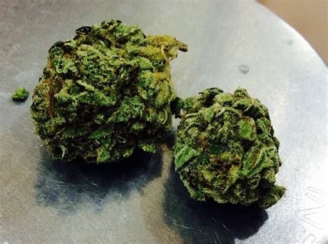 gucci marijuana|gucci og weed.